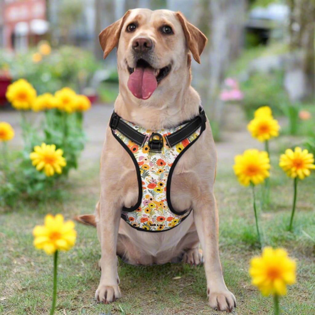 Wildflower Wonder Harness