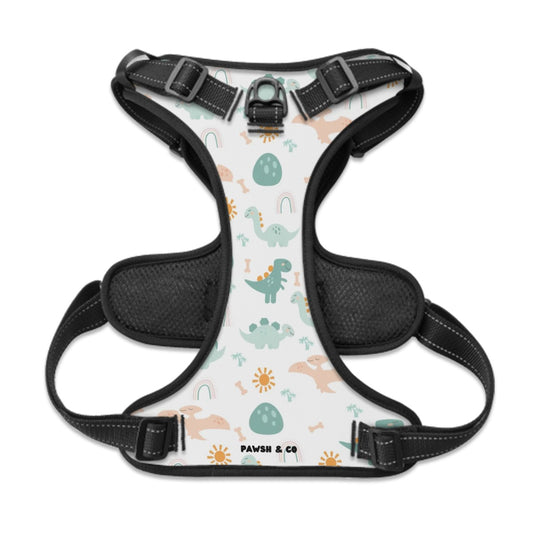 Dino Paws Harness