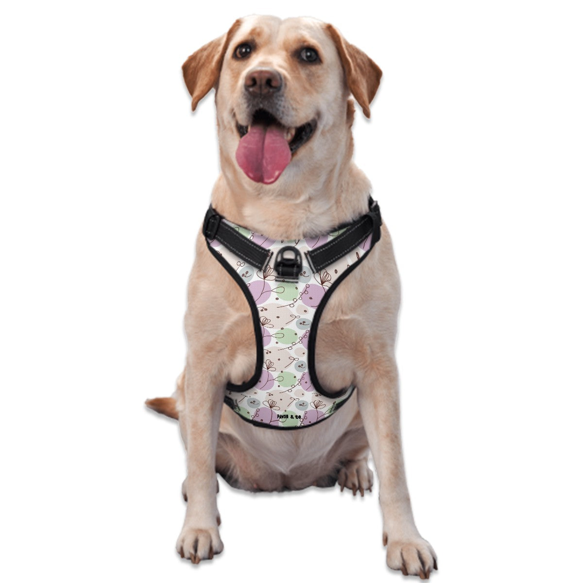 Buzzy Harness