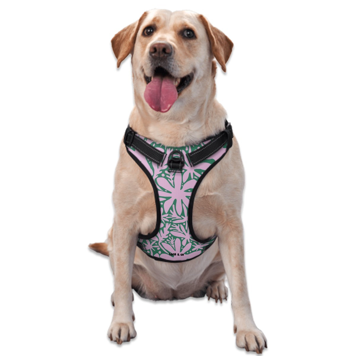 Dog Harness