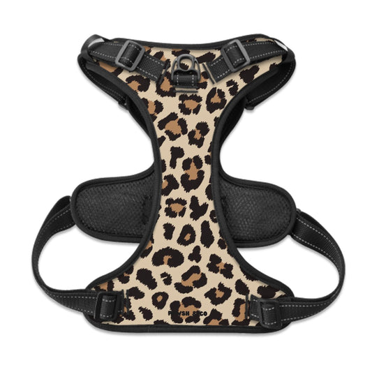 Fierce & Fabulous Harness