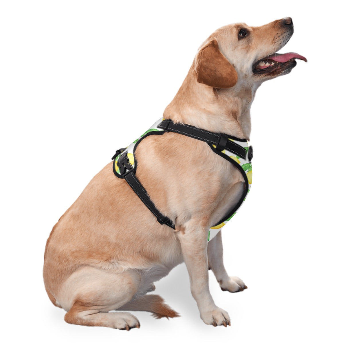 Lemon Zest Harness