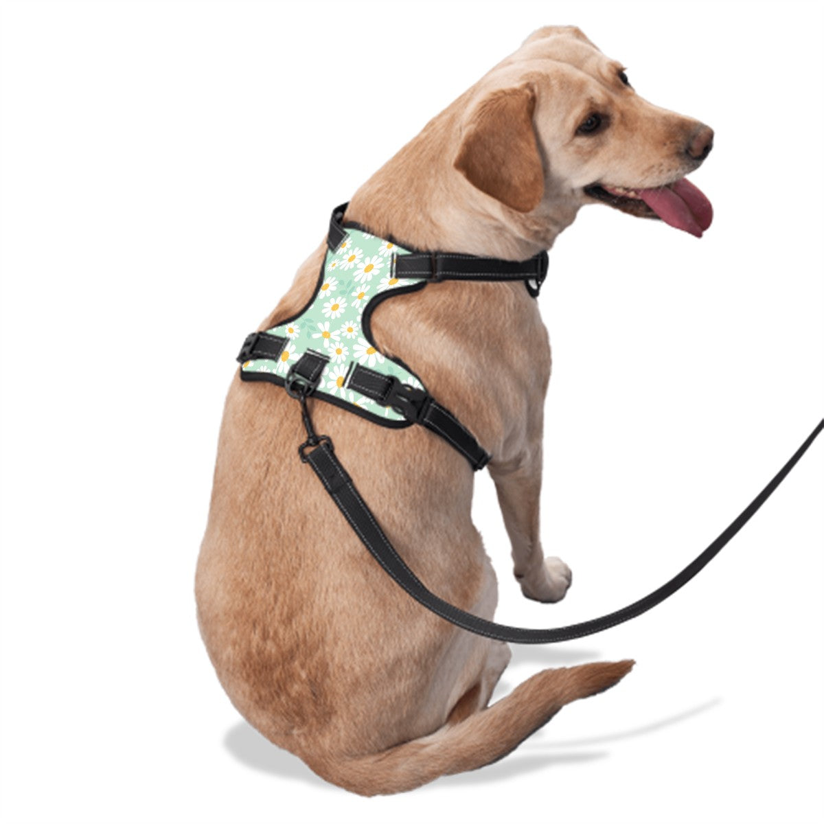 Daisy Delight Harness