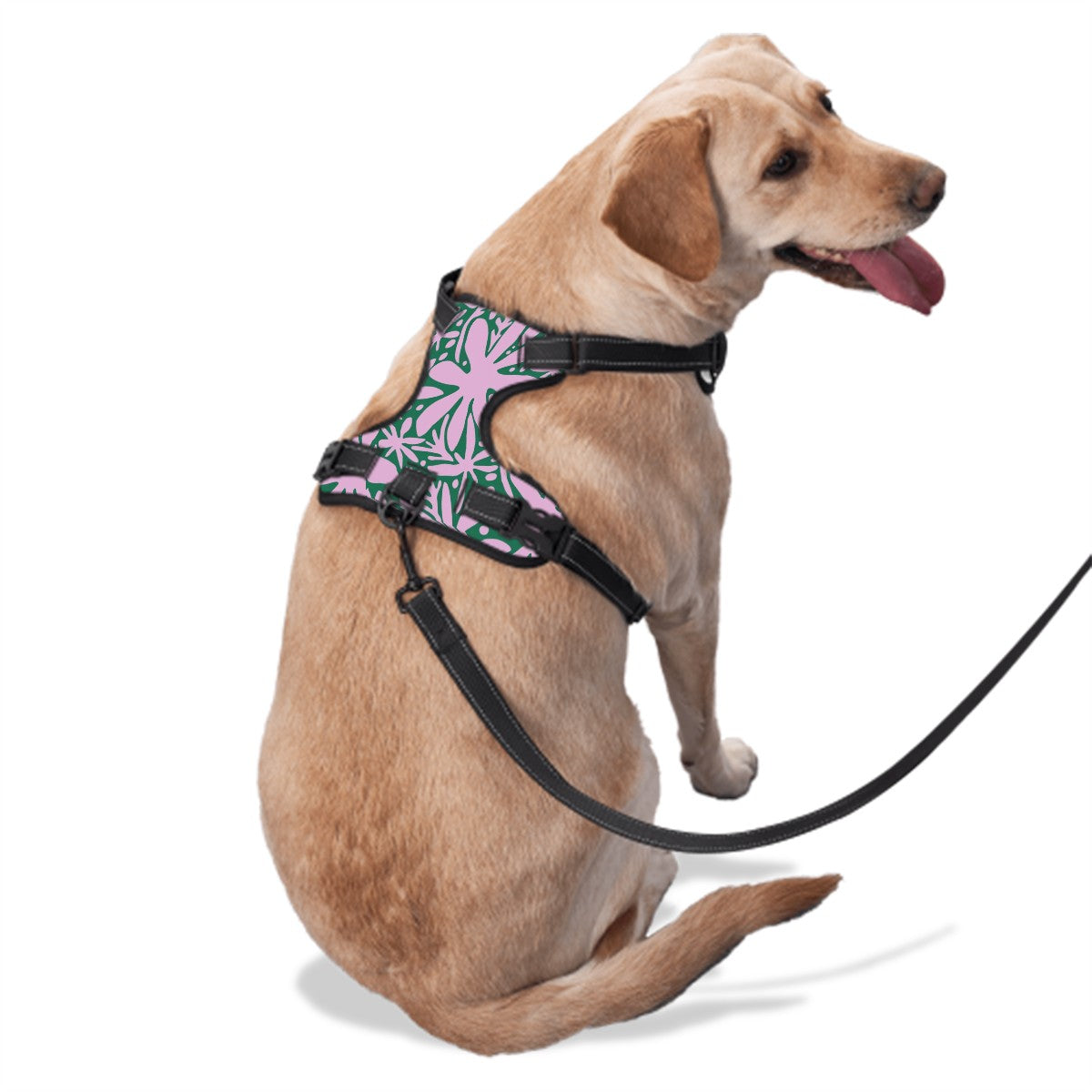 Dog Harness