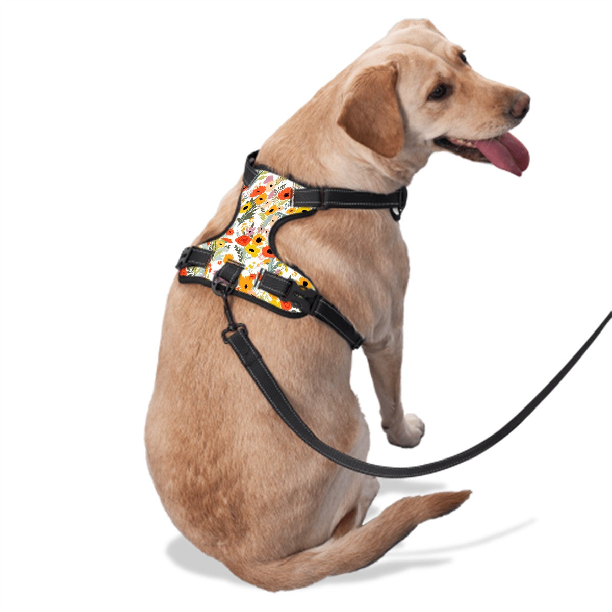 Wildflower Wonder Harness