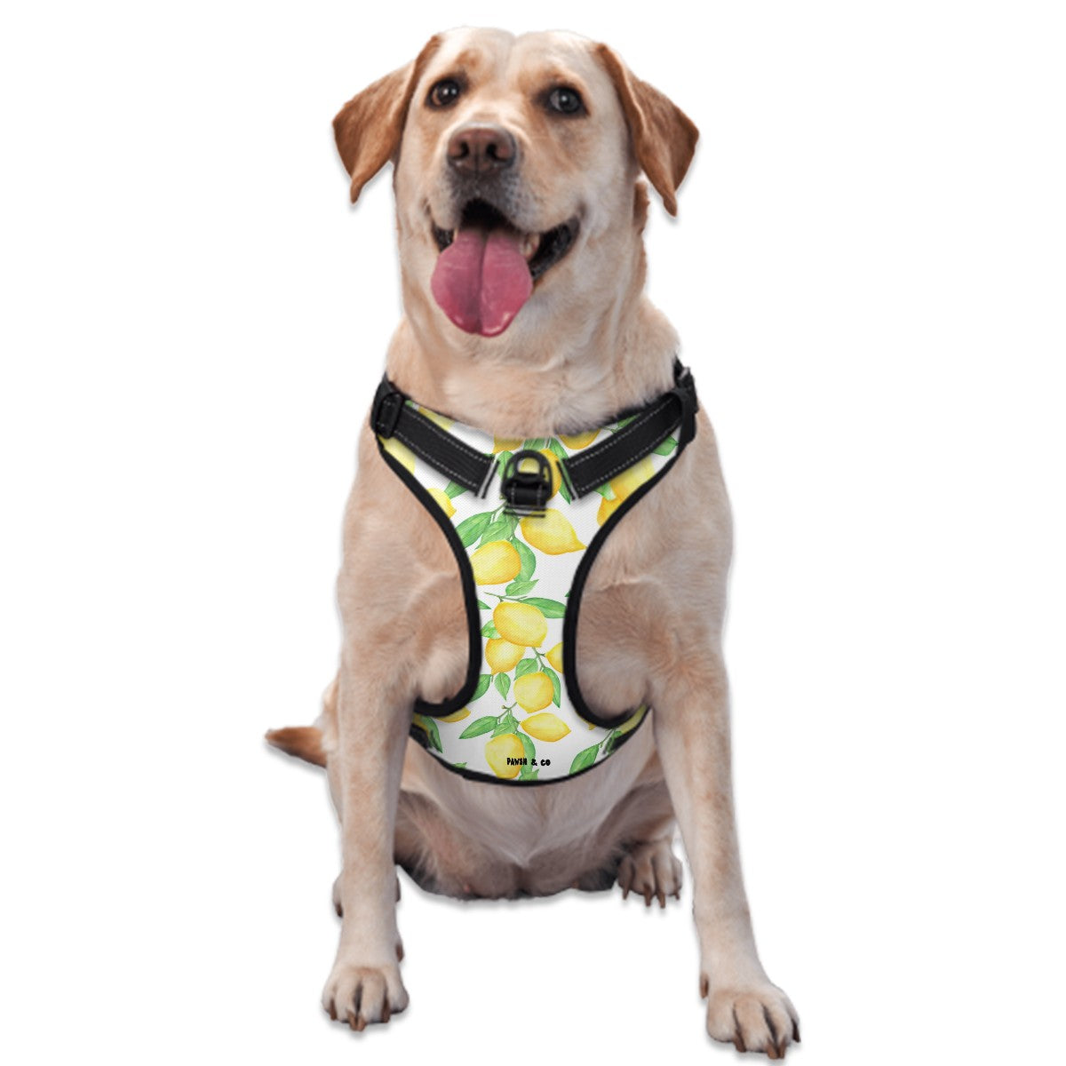 Lemon Zest Harness