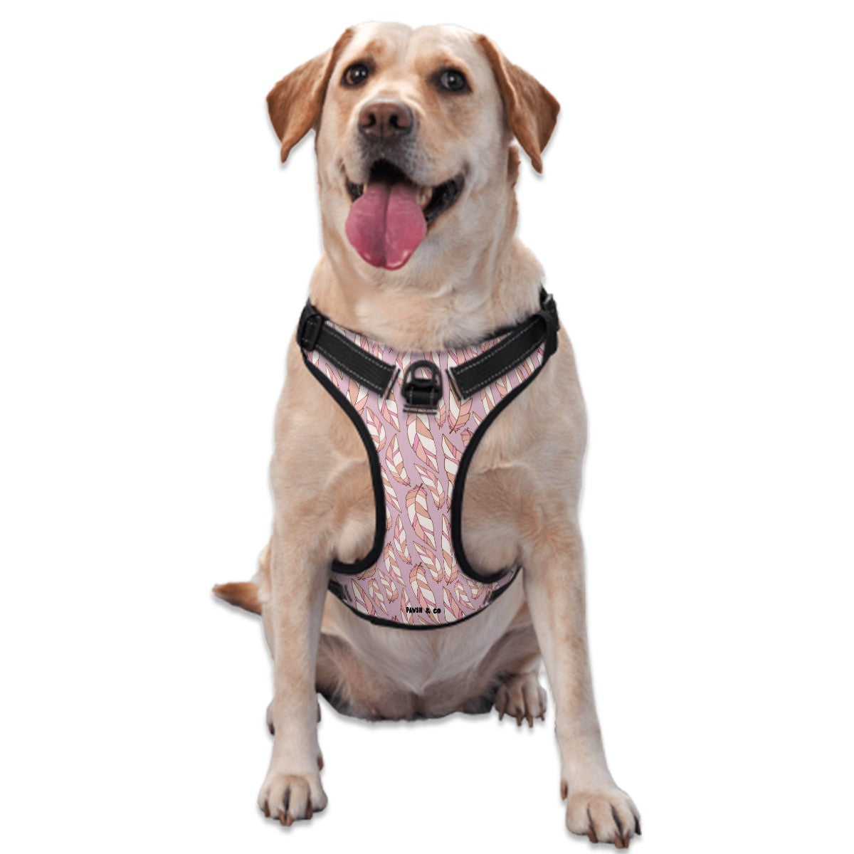 Featherlight Dreams Harness