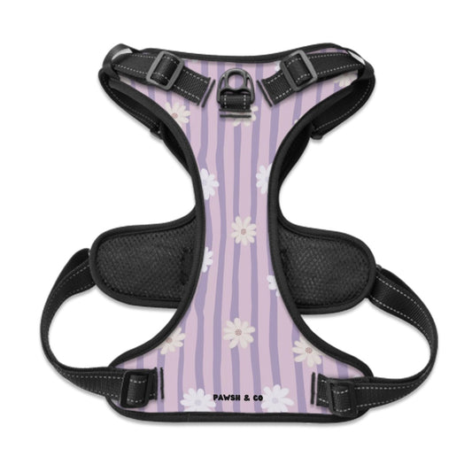 Lavender Daisy Harness