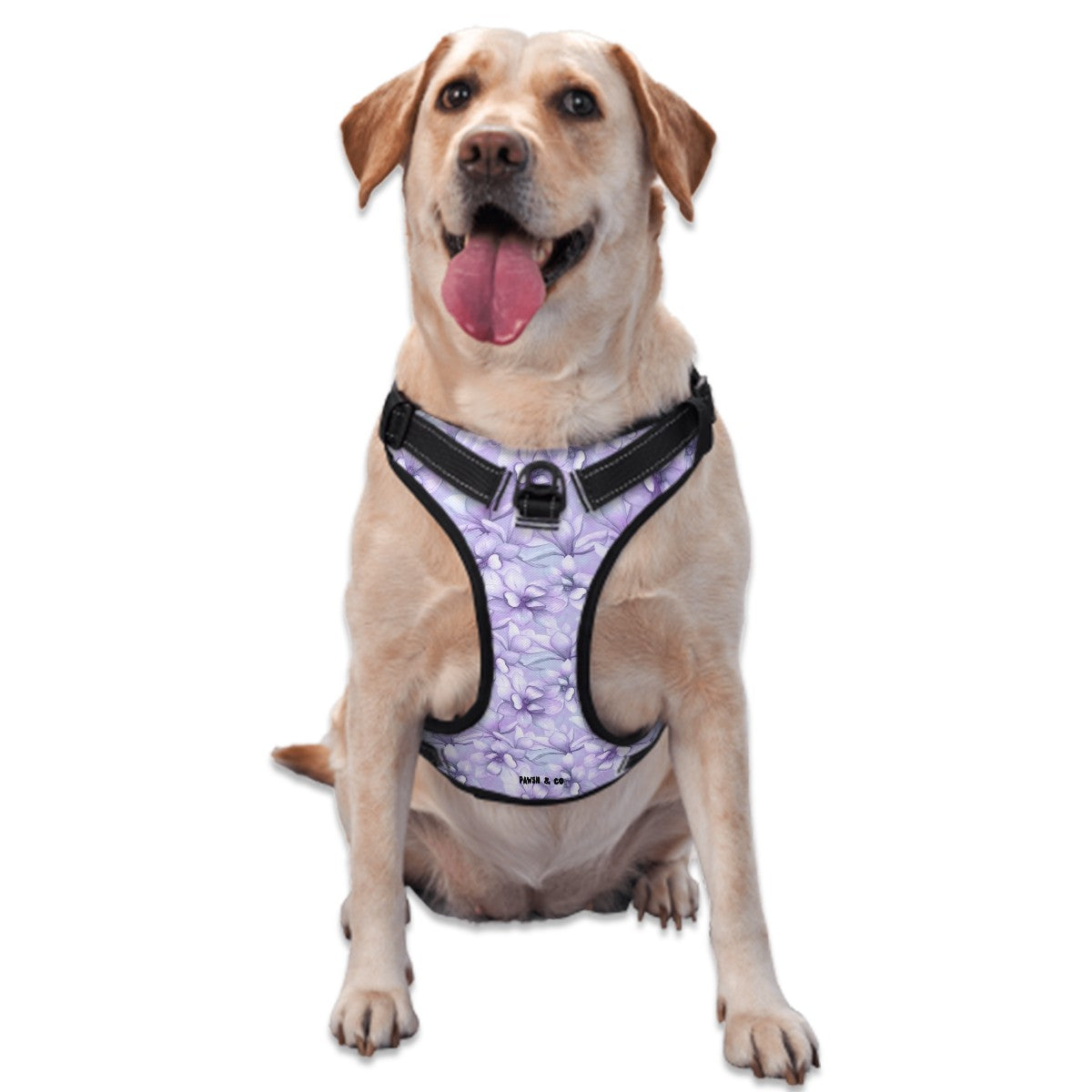 Blooming Beauty Harness