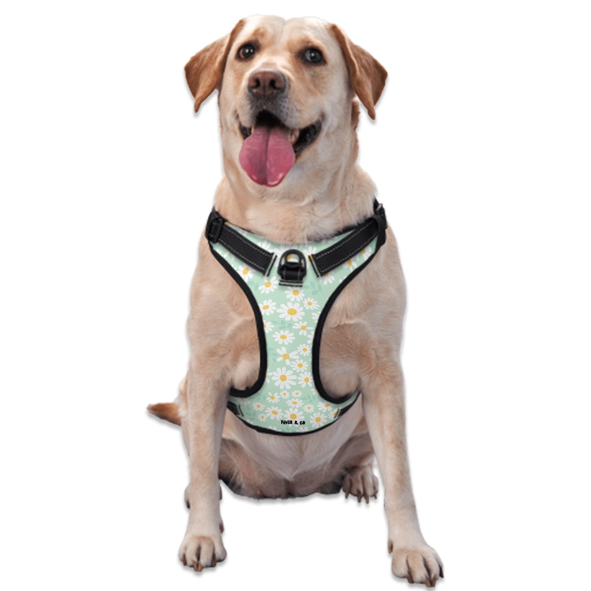 Daisy Delight Harness